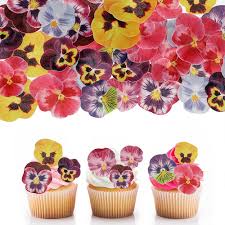 Lot de Fleurs Comestibles Pour Gâteaux - Sublimez Vos Créations Sucrées