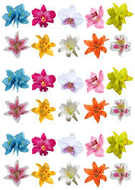 Superbes Fleurs Comestibles pour la Décoration de Gâteaux - Orchidées