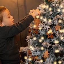 Guirlandes Lumineuses SALCAR : Éclairez vos Fêtes de Noël avec Élégance