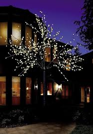 Arbre Lumineux Extérieur Premium - Éclairez votre Espace