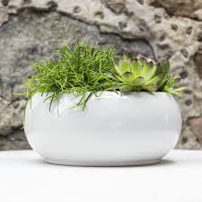 Cache Pot Céramique Élégant pour Parfaites Décorations