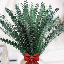 Décoration Naturelle en Eucalyptus Séché - Neuytiky