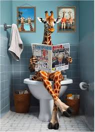 Affiche Humoristique pour Toilettes - Décoration Unique