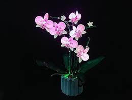 Éclairage pour LEGO Orchid 10311 - Illuminez votre créativité