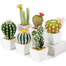 Mini Cactus Artificiels en Céramique Blanche – Élégance Naturelle pour Votre Décor