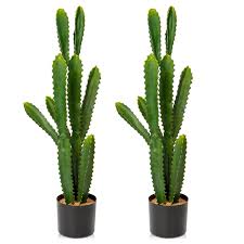 Oairse Lot de Plantes Artificielles Cactus - Décoration Naturelle