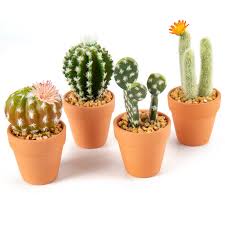 Mini Cactus Artificiels en Terre Cuite - Une touche de verdure durable