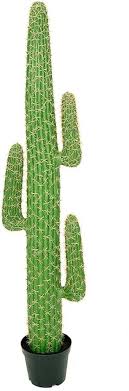 Cactus Artificiel Mexico Vert - Une touche d'exotisme pour votre intérieur