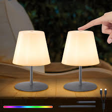 Petite Lampe Rechargeable NiceBuy - Éclairez Votre Espace