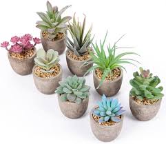 Succulentes Artificielles - Plantes Grasses pour une Décoration Éclatante