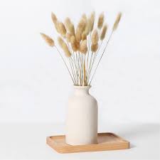 Phragmites Communis : Élégance Naturelle pour Votre Intérieur