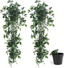 Fausse Plante Tombante - Élégance et Nature à Domicile