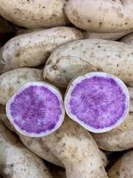 Graines de Patate Douce Hawaïenne - Cultivez la Saveur des Îles